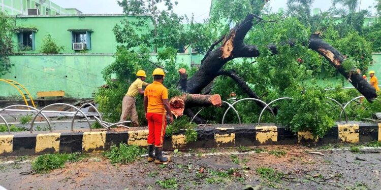 ସରିଲା ବାତ୍ୟା ପ୍ରକୋପ, ଦୁର୍ବଳ ହୋଇ ସ୍ଥଳଭାଗ ପରିତ୍ୟାଗ କଲା ’ଦାନା’