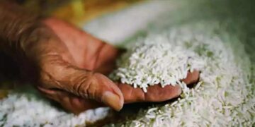 କେନ୍ଦ୍ର କ୍ୟାବିନେଟର ନିଷ୍ପତ୍ତି: ଡିସେମ୍ବର ୨୦୨୮ ପର୍ଯ୍ୟନ୍ତ ଜାରି ରହିବ ମାଗଣା ଭିଟାମିନଯୁକ୍ତ ଚାଉଳ ଯୋଗାଣ