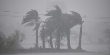 ବାତ୍ୟା କ୍ଷତି ୬୦୦କୋଟି