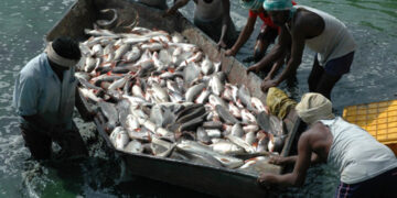 ଓଡ଼ିଶାରେ ମତ୍ସ୍ୟ ଚାଷ ସମ୍ବନ୍ଧୀୟ ପ୍ରଶିକ୍ଷଣ ଓ ଦକ୍ଷତା ବିକାଶ କାର୍ଯ୍ୟକ୍ରମ