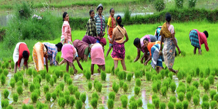 କୃଷକମାନଙ୍କୁ ଆରବିଆଇର ଉପାହାର: ବୃଦ୍ଧି କଲା ବନ୍ଧକ ମୁକ୍ତ ଋଣର ସୀମା