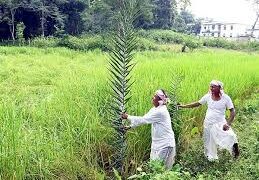 ବନ୍ଧକମୁକ୍ତ କୃଷିଋଣ ପରିମାଣ ୨ ଲକ୍ଷ ଟଙ୍କାକୁ ବୃଦ୍ଧି