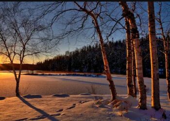 ଆଜି ସବୁଠାରୁ ଛୋଟ ଦିନ, ରାତି ବଡ଼