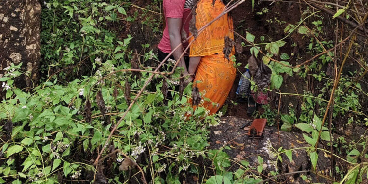 ଗଛରୁ ୨ ଝୁଲନ୍ତା ମୃତଦେହ ଜବତ