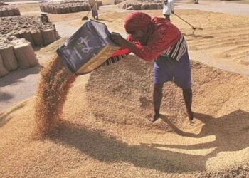 ଚାଷୀଙ୍କ ପାଇଁ ଆଶ୍ବସ୍ତି : ଧାନର ମାନ କମ୍‌ ଥିଲେ ବି କିଣିବେ ସରକାର