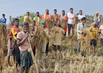 କ୍ଷତିଗ୍ରସ୍ତ ଚାଷ ଜମି ବୁଲି ଦେଖିଲେ ରାଜ୍ୟ ବିଜେପି କୃଷକ ମୋର୍ଚ୍ଚା ସଭାପତି