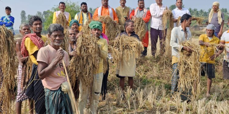 କ୍ଷତିଗ୍ରସ୍ତ ଚାଷ ଜମି ବୁଲି ଦେଖିଲେ ରାଜ୍ୟ ବିଜେପି କୃଷକ ମୋର୍ଚ୍ଚା ସଭାପତି