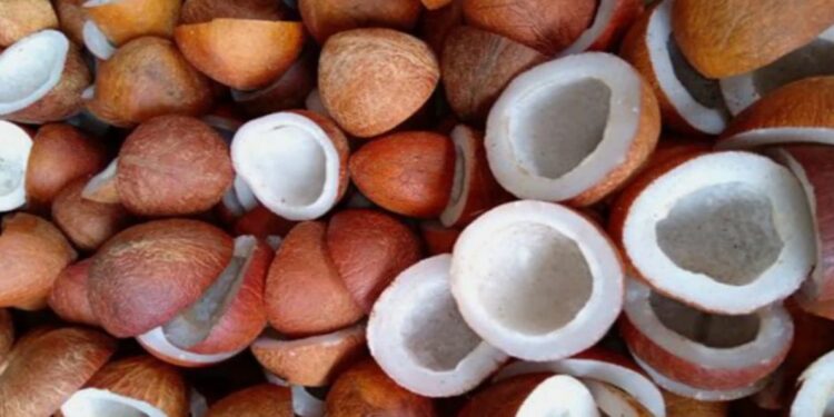 ୨୦୨୫ ଋତୁ ପାଇଁ ଶୁଖିଲା ନଡ଼ିଆ ଶସର ସର୍ବନିମ୍ନ ସହାୟକ ମୂଲ୍ୟକୁ କେନ୍ଦ୍ର କ୍ୟାବିନେଟ୍‌ ମଞ୍ଜୁରୀ