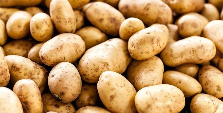 ଓଡ଼ିଶାରେ ପହଞ୍ଚିଲା ଉତ୍ତରପ୍ରଦେଶ ଆଳୁ ଗାଡ଼ି