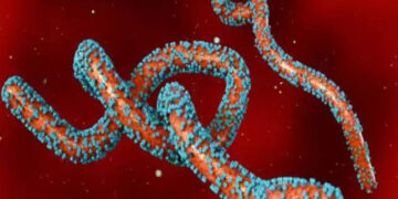 ମାଡି ଆସୁଛି ଆଉ ଏକ ଭୟଙ୍କର ଭାଇରସ, ଗଲାଣି ୧୫ ଜଣଙ୍କ ଜୀବନ