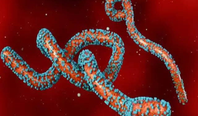 ମାଡି ଆସୁଛି ଆଉ ଏକ ଭୟଙ୍କର ଭାଇରସ, ଗଲାଣି ୧୫ ଜଣଙ୍କ ଜୀବନ