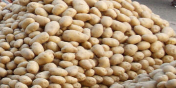 ଓଡ଼ିଶାକୁ ଆସିବ ପଶ୍ଚିମବଙ୍ଗର ଆଳୁ