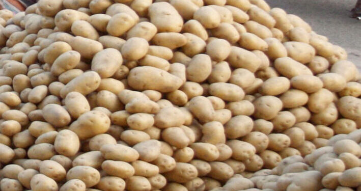 ଓଡ଼ିଶାକୁ ଆସିବ ପଶ୍ଚିମବଙ୍ଗର ଆଳୁ