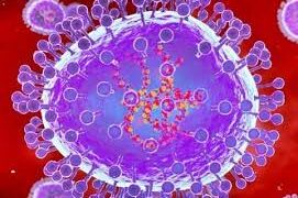 ଭାରତରେ ଚିହ୍ନଟ ହେଲା HMPV ଭାଇରସର ପ୍ରଥମ ମାମଲା, ୮ ମାସର ଶିଶୁ ସଂକ୍ରମିତ