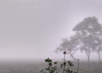 ତଳମୁହାଁ ପାରଦ: ଫୁଲବାଣୀ ସବୁଠୁ ଥଣ୍ଡା