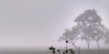 ତଳମୁହାଁ ପାରଦ: ଫୁଲବାଣୀ ସବୁଠୁ ଥଣ୍ଡା