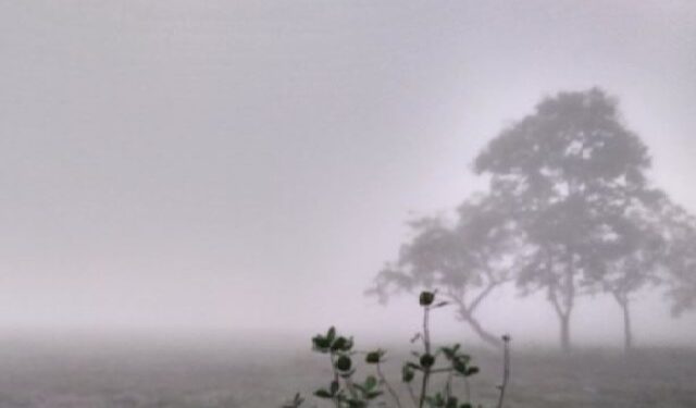 ତଳମୁହାଁ ପାରଦ: ଫୁଲବାଣୀ ସବୁଠୁ ଥଣ୍ଡା