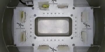 ଇସ୍ରୋକୁ ମିଳିଲା ଆଉ ବଡ ସଫଳତା: ମହାକାଶରେ ଅଙ୍କୁରିତ ହେଲା ଝୁଡ଼ଙ୍ଗ ମଞ୍ଜି