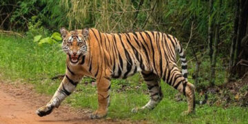 ଓଡ଼ିଶା ଆସିବେ ଆଉ ୩ ମହାବଳ