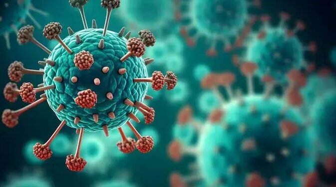 ରାଜ୍ୟରେ ଏଚଏମପିଭିର କୌଣସି ସୂଚନା ନାହିଁ