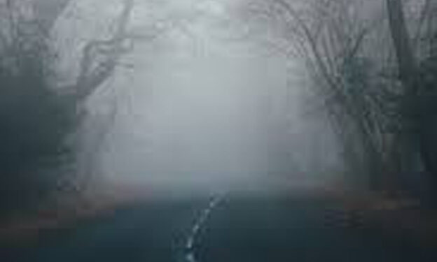 ୫ ଦିନ ପର୍ଯ୍ୟନ୍ତ ଜାରି ରହିବ ଶୀତ, ଘନ କୁହୁଡ଼ି ନେଇ ୪ ଜିଲ୍ଲାକୁ ୟେଲୋ ଆଲର୍ଟ