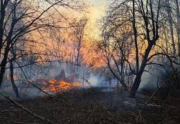 ଗ୍ରୀଷ୍ମ ପୂର୍ବ ବନାଗ୍ନିରେ ତୃତୀୟ ସ୍ଥାନରେ ଓଡ଼ିଶା