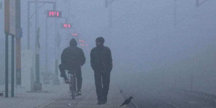 ରାଜ୍ୟରେ ଘନ କୁହୁଡ଼ି ଲାଗି ୧୧ ଜିଲ୍ଲାକୁ ୟେଲୋ ୱାର୍ଣ୍ଣିଂ