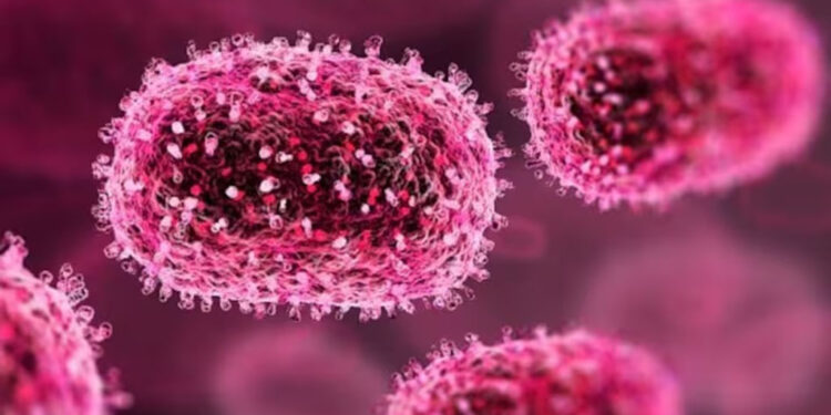 ଚାଇନାରେ ବ୍ୟାପୁଛି ହ୍ୟୁମାନ ମେଟାପ୍ନୁମୋଭାଇରସ