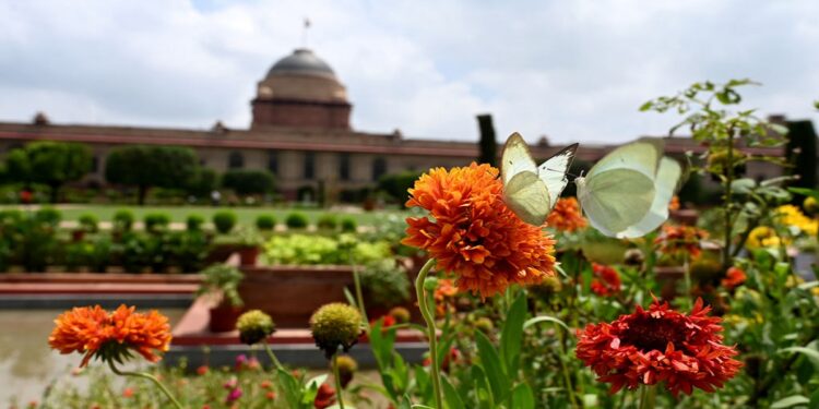 ଖୋଲିବ ରାଷ୍ଟ୍ରପତି ଭବନର ଅମୃତ ଉଦ୍ୟାନ