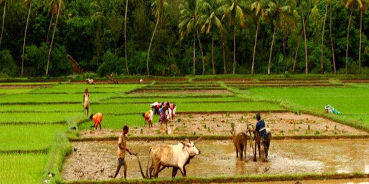 ଭାରତର ବିକାଶ ଯାତ୍ରାର ପ୍ରଥମ ଇଞ୍ଜିନ୍ ହେଉଛି କୃଷି: ବଜେଟ୍ ୨୦୨୫-୨୬