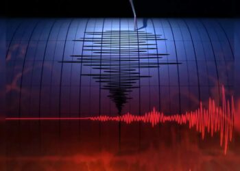 ନ୍ୟୁଜିଲାଣ୍ଡରେ ଶକ୍ତିଶାଳୀ ଭୂମିକମ୍ପ; ଆସିପାରେ ସୁନାମି