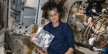 ଏବେ ଫେରିବେନି ସୁନୀତା ୱିଲିୟମ୍ସ, ଯାନ୍ତ୍ରିକ ତ୍ରୁଟି ଯୋଗୁଁ ଲଞ୍ଚ ହୋଇପାରିଲାନି ରକେଟ୍