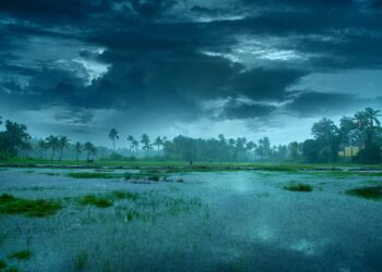 ଏଥର ଆଗୁଆ ଆସିବ ମୌସୁମୀ, ମେ’ ୧୩ ତାରିଖରେ ଦକ୍ଷିଣ ଆଣ୍ଡାମାନ ଛୁଇଁବା ନେଇ ପାଣିପାଗ ବିଭାଗର ପୂର୍ବାନୁମାନ