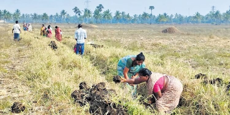 ଜୁନ୍ ଶେଷ ସୁଦ୍ଧା ସମସ୍ତ ପଞ୍ଚାୟତରେ ହେବ ଦିବ୍ୟାଙ୍ଗ ଶକ୍ତି ଗ୍ରୁପ