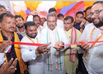 ମାଟିର ମଣିଷ ମଙ୍ଗୁ ଭାଇ