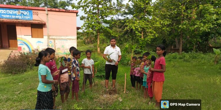 ବିଶ୍ୱ ପରିବେଶ ଦିବସ ଅବସରରେ ବଜ୍ରକୋଟ ପ୍ରାଥମିକ ବିଦ୍ୟାଳୟରେ ବୃକ୍ଷରୋପଣ କାର୍ଯ୍ୟକ୍ରମ ଅନୁଷ୍ଠିତ