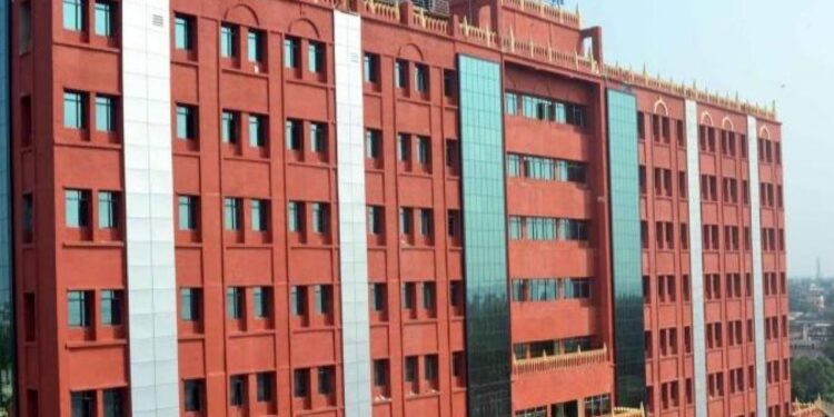 ଏଣିକି ଚୁକ୍ତିଭିତ୍ତିକ ମହିଳା କର୍ମଚାରୀ ମାନେ ନେଇ ପାରିବେ ପ୍ରସବ କାଳୀନ ଛୁଟି: ହାଇକୋର୍ଟ