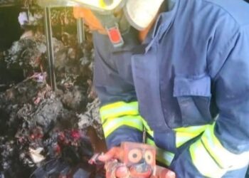 ଆଶ୍ଚର୍ଯ୍ୟ ହେଲେ ବି ସତ