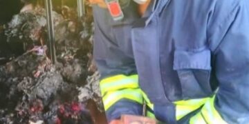 ଆଶ୍ଚର୍ଯ୍ୟ ହେଲେ ବି ସତ