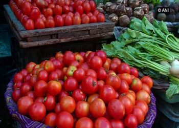 ପାକିସ୍ତାନରେ ଟମାଟୋ କିଲୋ ୭୦୦ ଟଙ୍କା, ଆଫଗାନିସ୍ତାନ ସହିତ ବାଣିଜ୍ୟ ବାଧା ଯୋଗୁଁ ଏଭଳି ସ୍ଥିତି