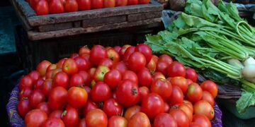 ପାକିସ୍ତାନରେ ଟମାଟୋ କିଲୋ ୭୦୦ ଟଙ୍କା, ଆଫଗାନିସ୍ତାନ ସହିତ ବାଣିଜ୍ୟ ବାଧା ଯୋଗୁଁ ଏଭଳି ସ୍ଥିତି