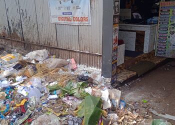 କୁଢ଼ କୁଢ଼ ଅଳିଆ ଗଦାରେ ବଡ଼ବିଲ ସହର