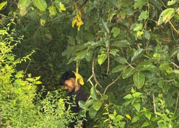 ବର ଗଛରୁ ଯୁବକର ଝୁଲନ୍ତା ମୃତ ଦେହ ଉଦ୍ଧାର , ହତ୍ୟା ଅଭିଯୋଗ ଆଣିଲେ ପରିବାର ଲୋକ