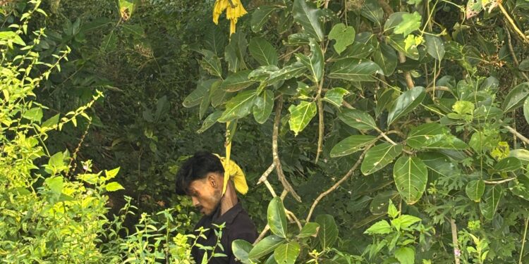 ବର ଗଛରୁ ଯୁବକର ଝୁଲନ୍ତା ମୃତ ଦେହ ଉଦ୍ଧାର , ହତ୍ୟା ଅଭିଯୋଗ ଆଣିଲେ ପରିବାର ଲୋକ