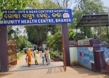 ବଳଦ ଚରାଇ ଫେରିବା ବାଟରେ ମହୁମାଛି ଆକ୍ରମଣରେ ପାଞ୍ଚ ଗୁରୁତର