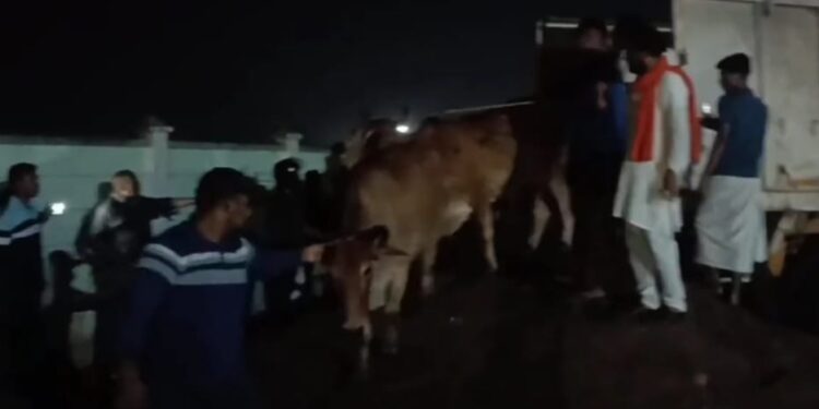 ଗୋସେବକ ମାନଙ୍କ ଦ୍ବାରା ଅଟକ ହେଲା ଅବାଧ ଗୋ ଚାଲାଣ