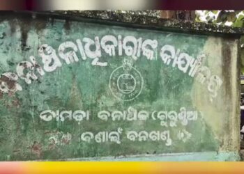 ବଳଦ ଖାଇଦେବାରୁ ବାଘକୁ ମାରିଦେଲେ, ଘଟଣାସ୍ଥଳରେ RCCF, DFO
