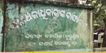 ବଳଦ ଖାଇଦେବାରୁ ବାଘକୁ ମାରିଦେଲେ, ଘଟଣାସ୍ଥଳରେ RCCF, DFO
