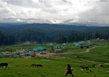 ପହଲଗାମ ଆତଙ୍କବାଦୀ ଆକ୍ରମଣ ମାମଲାରେ ଆଜି ଚାର୍ଜସିଟ୍ ଦାଖଲ କରିବ NIA