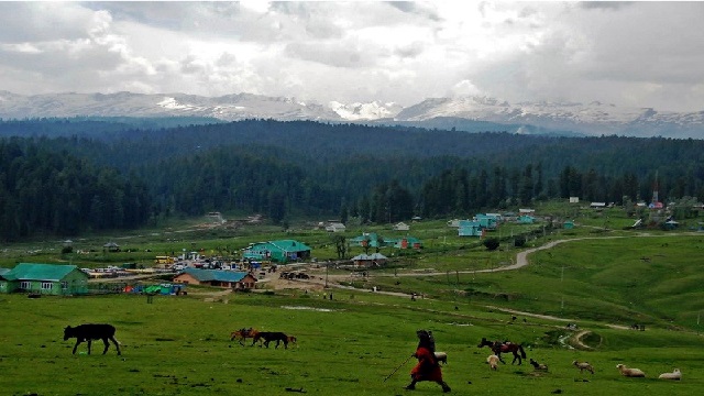 ପହଲଗାମ ଆତଙ୍କବାଦୀ ଆକ୍ରମଣ ମାମଲାରେ ଆଜି ଚାର୍ଜସିଟ୍ ଦାଖଲ କରିବ NIA